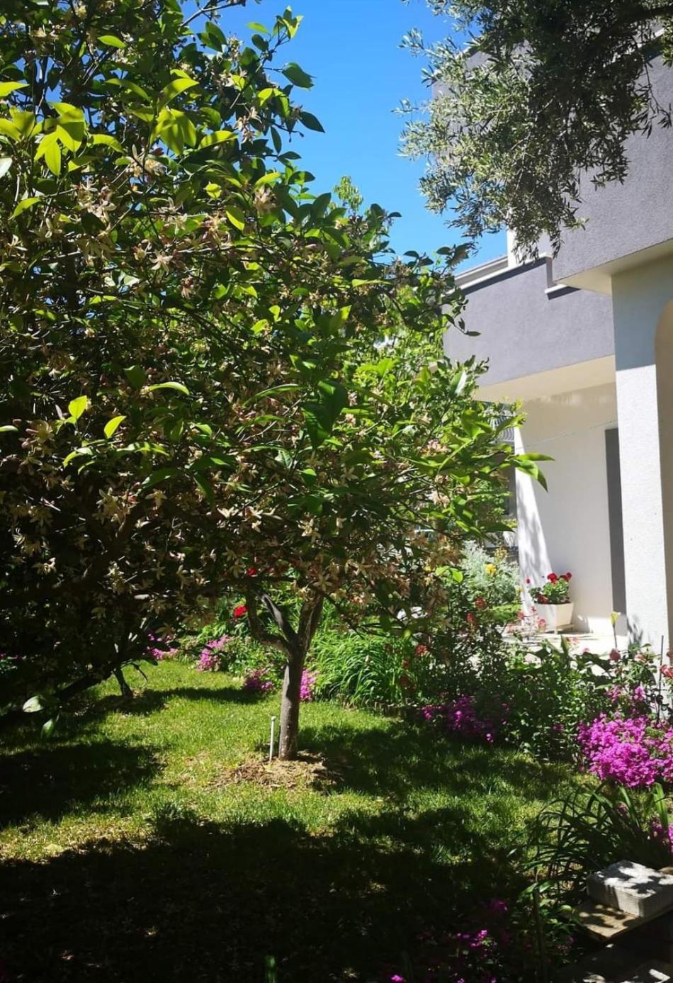 Kaštela Apartmani Dianna מראה חיצוני תמונה